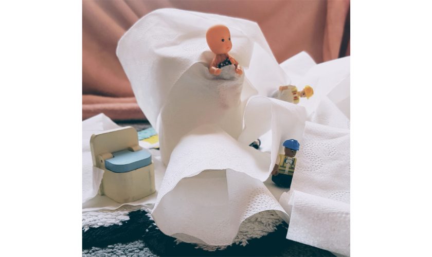 Toilet Roll and other precious items